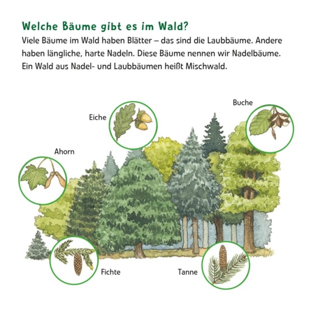Maxi Pixi 399 Entdecke den Wald