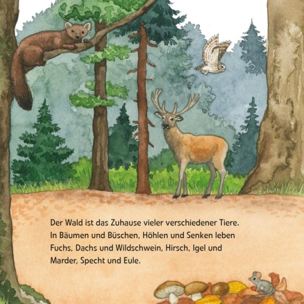 Maxi Pixi 399 Entdecke den Wald