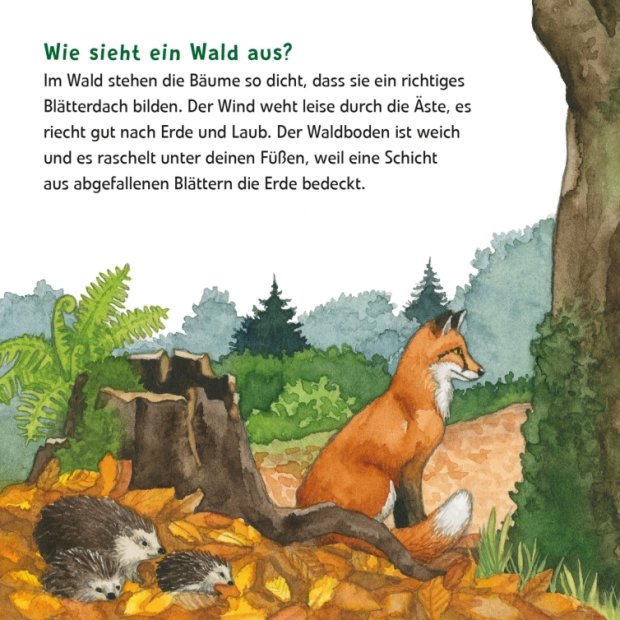 Maxi Pixi 399 Entdecke den Wald