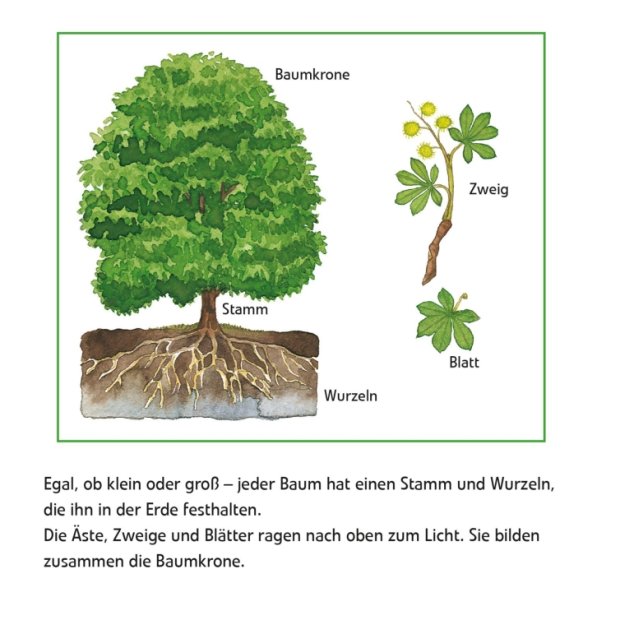 Maxi Pixi 399 Entdecke den Wald