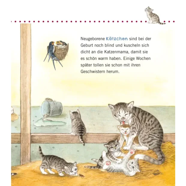 Carlsen Unkaputtbar Erstes Wissen Tiere und ihre Kinder