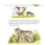 Carlsen Unkaputtbar Erstes Wissen Tiere und ihre Kinder