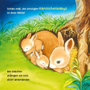 Carlsen Baby Pixi unkaputtbar 96: Mein Lieblingsbuch vom...