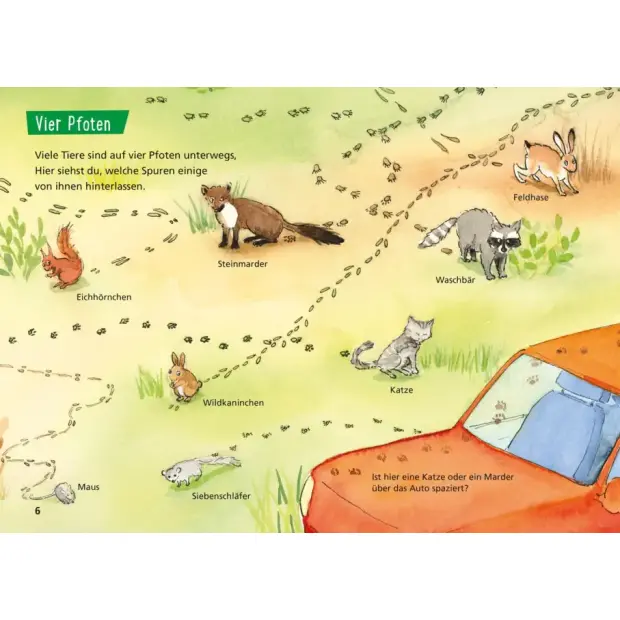 Carlsen Pixi Wissen 107 Tierspuren