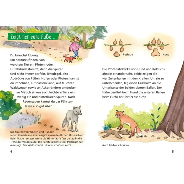 Carlsen Pixi Wissen 107 Tierspuren