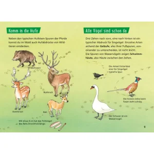 Carlsen Pixi Wissen 107 Tierspuren