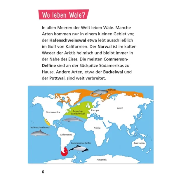 Carlsen Pixi Wissen 8 Wale und Delfine