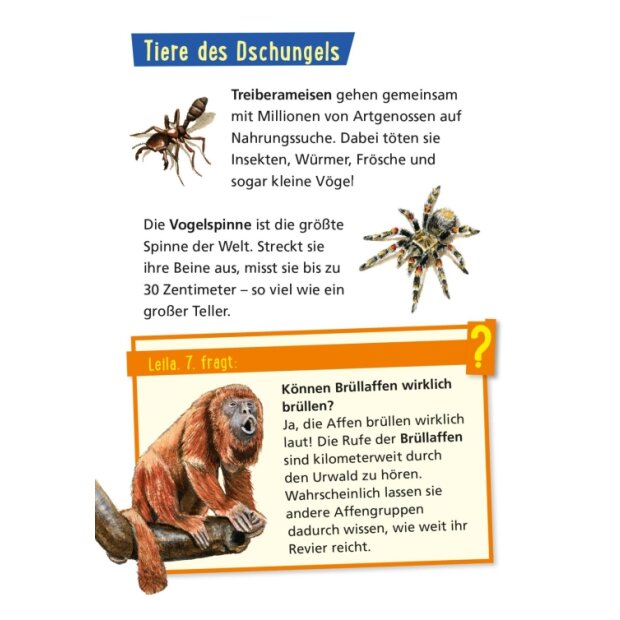Carlsen Pixi Wissen 42 Tiere der Welt
