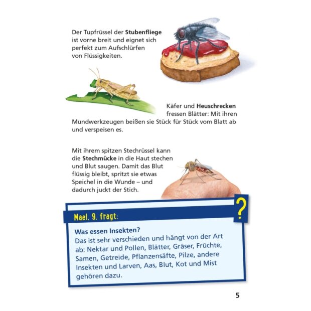 Carlsen Pixi Wissen 115 Insekten