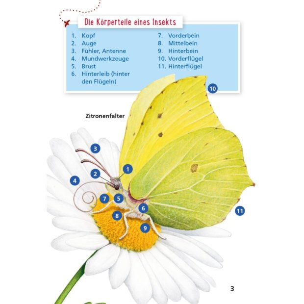 Carlsen Pixi Wissen 115 Insekten