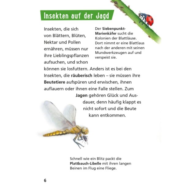 Carlsen Pixi Wissen 115 Insekten