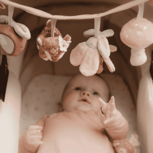 Little Dutch Kinderwagenkette Fairy Garden