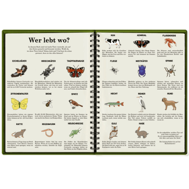 Coppenrath Wimmel Such Buch Tiere über und unter der Erde