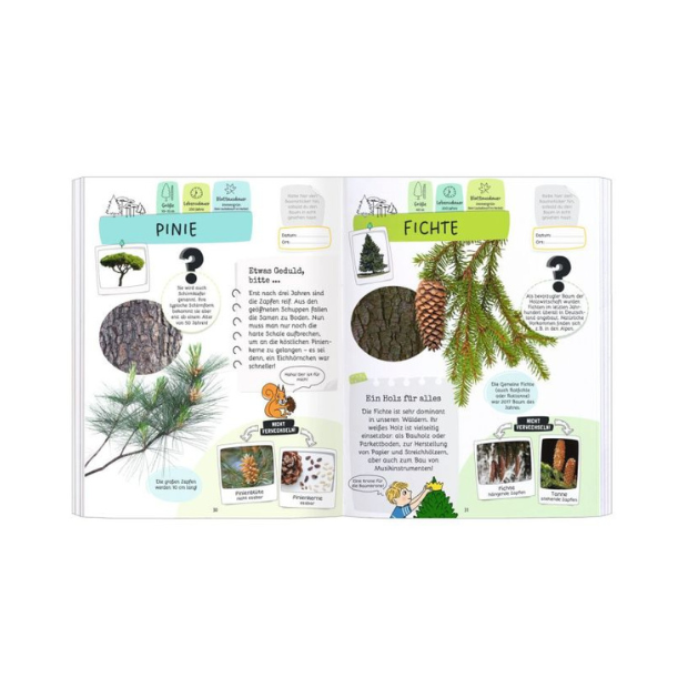 moses Expedition Natur Rätseln Stickern Bestimmen Bäume