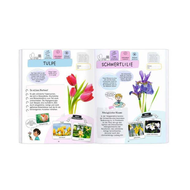 moses Expedition Natur Rätseln Stickern Bestimmen Blumen