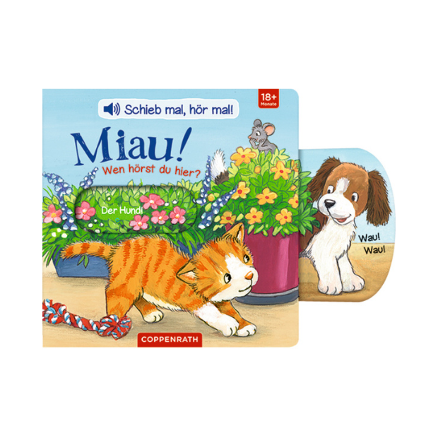 Coppenrath Kinderbuch Schieb mal hör mal Miau Wen hörst du hier