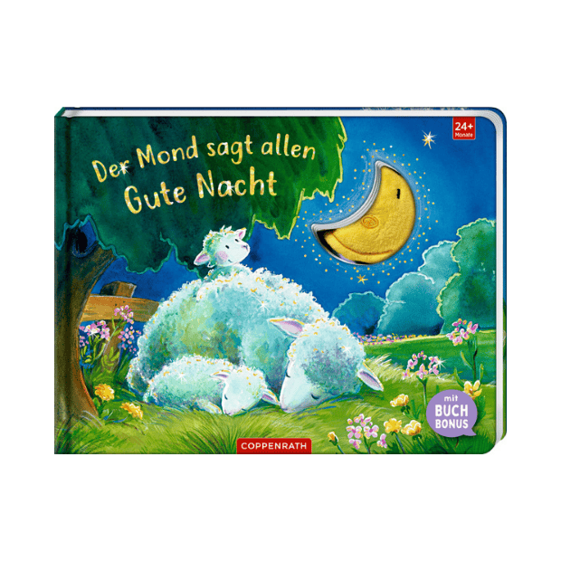 Coppenrath Kinderbuch Der Mond sagt allen Gute Nacht